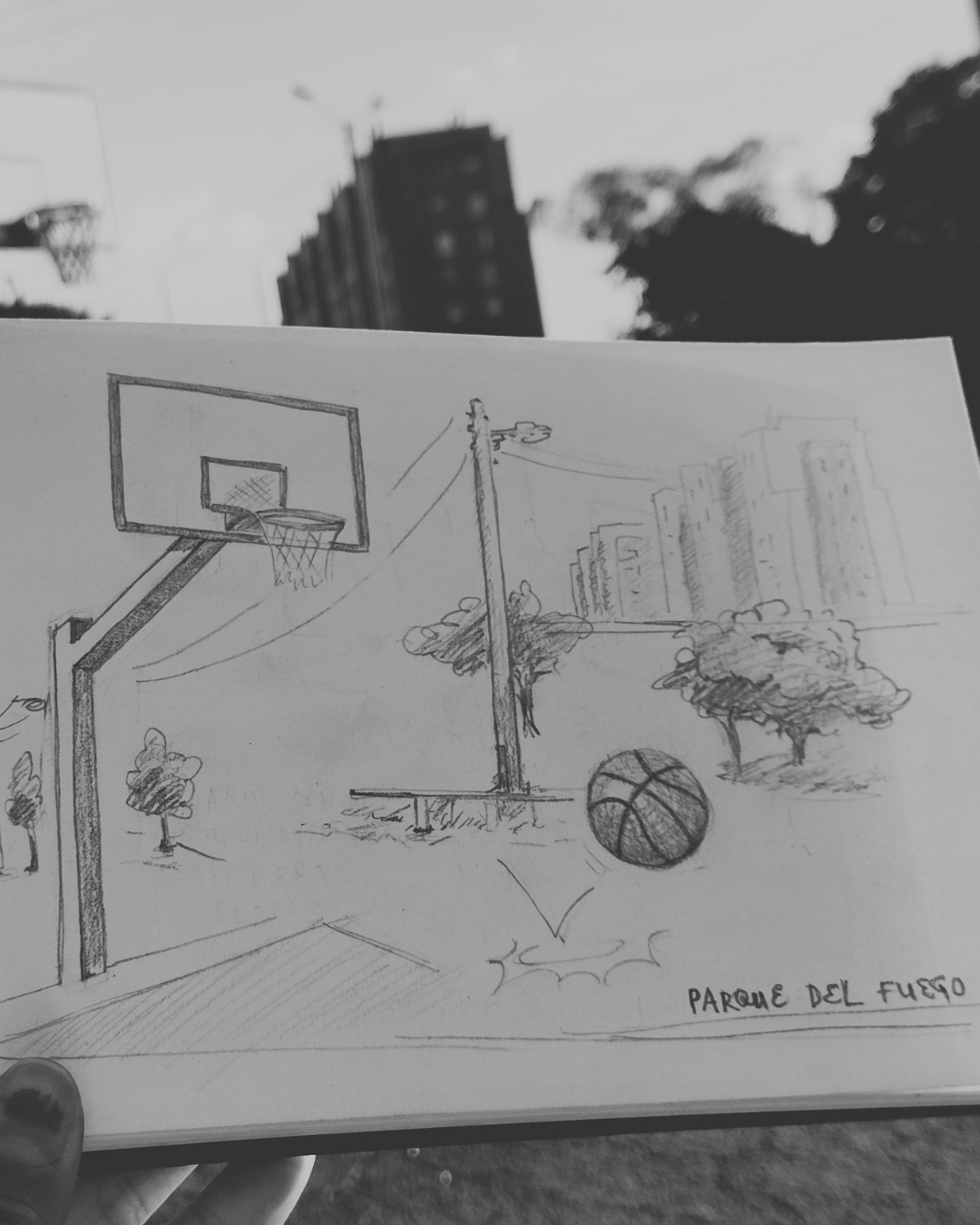 LAS CANCHAS DEL PARQUE DEL FUEGO